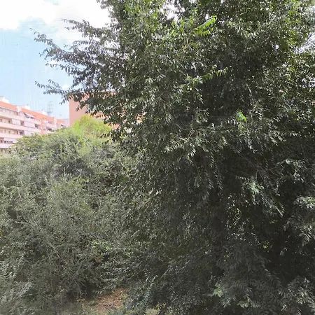 Doble Con Bano Privado Y Desayuno Incluido Homestay Viladecans